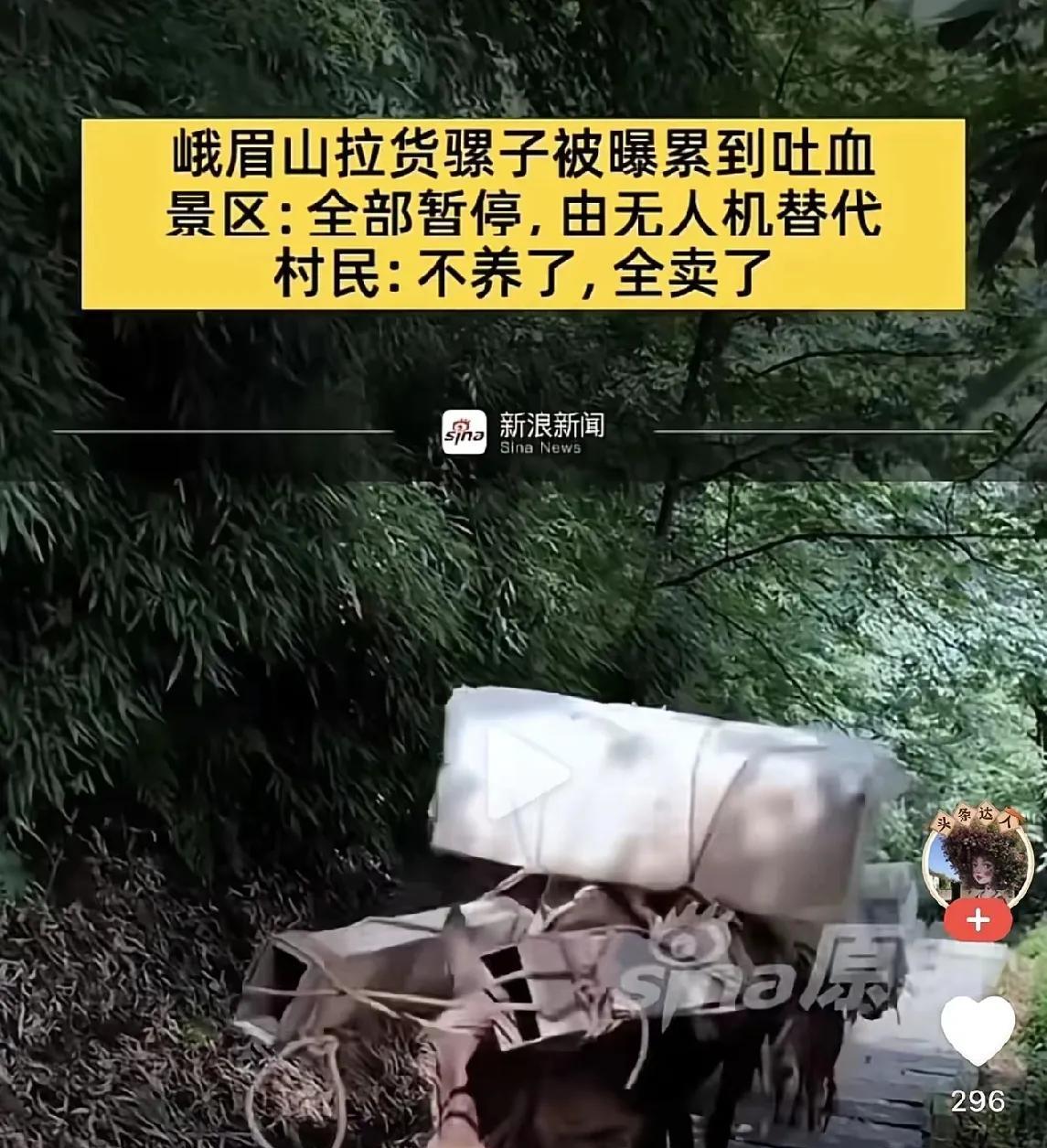 乱世先灭圣母，颠扑不破的真理。