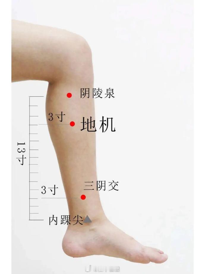 胃食管反流导致烧心、反酸，自己按摩脾经上阴陵泉到地机穴这一段。重点探查二者连线上