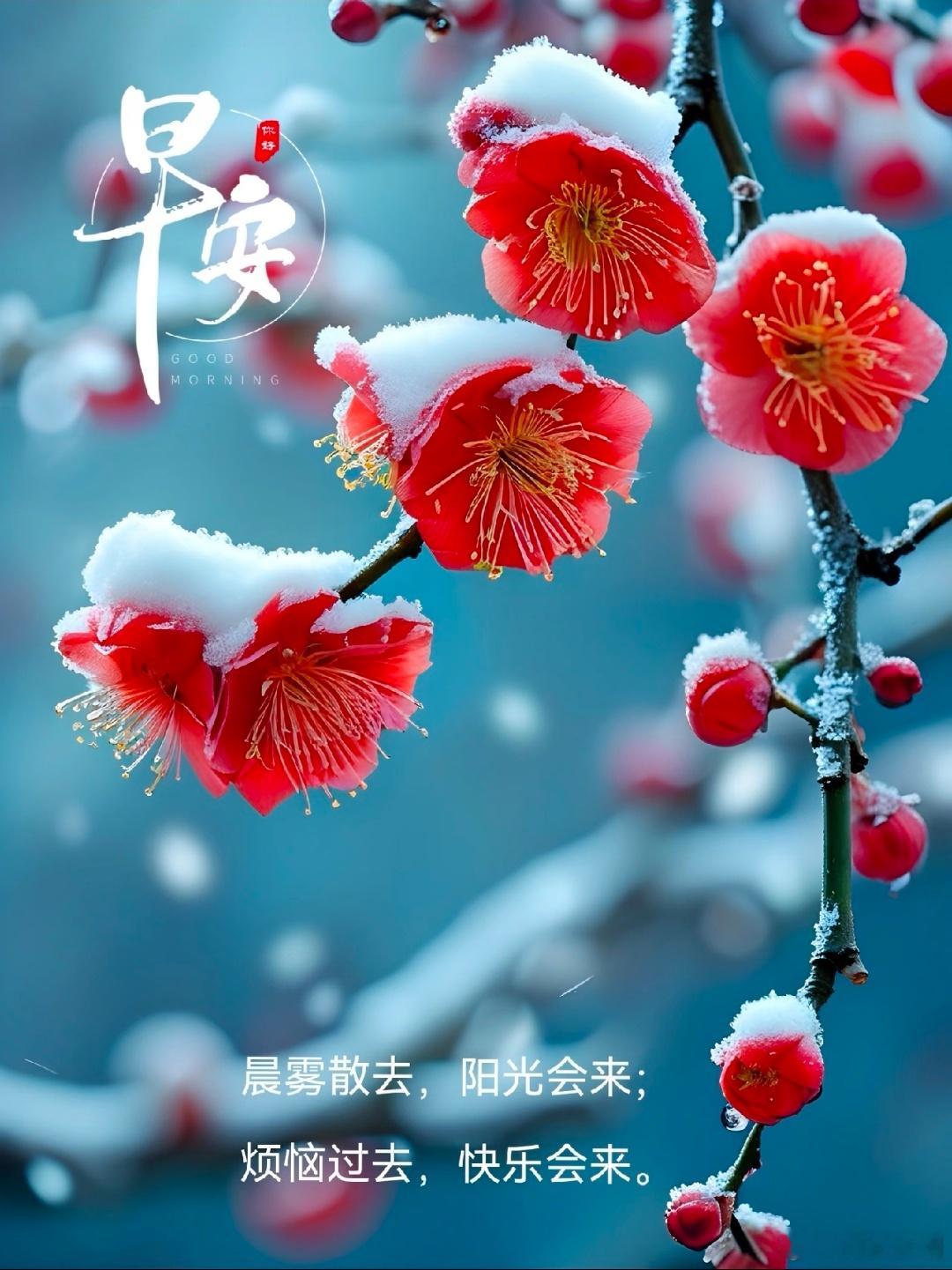 早安✨今日份温暖已送达，选一句陪你开启元气满满的一天，记得吃早餐，记得对自己温