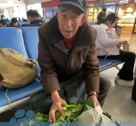 2月2日，春运首日，河南驻马店遂平的一老人满怀喜悦地带着孙子到驻马店西站，准备坐