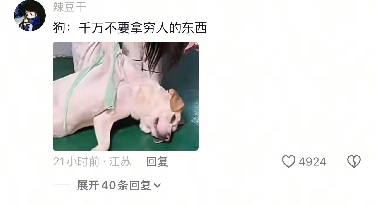 🐶：在我律师来之前我不会说一句话的