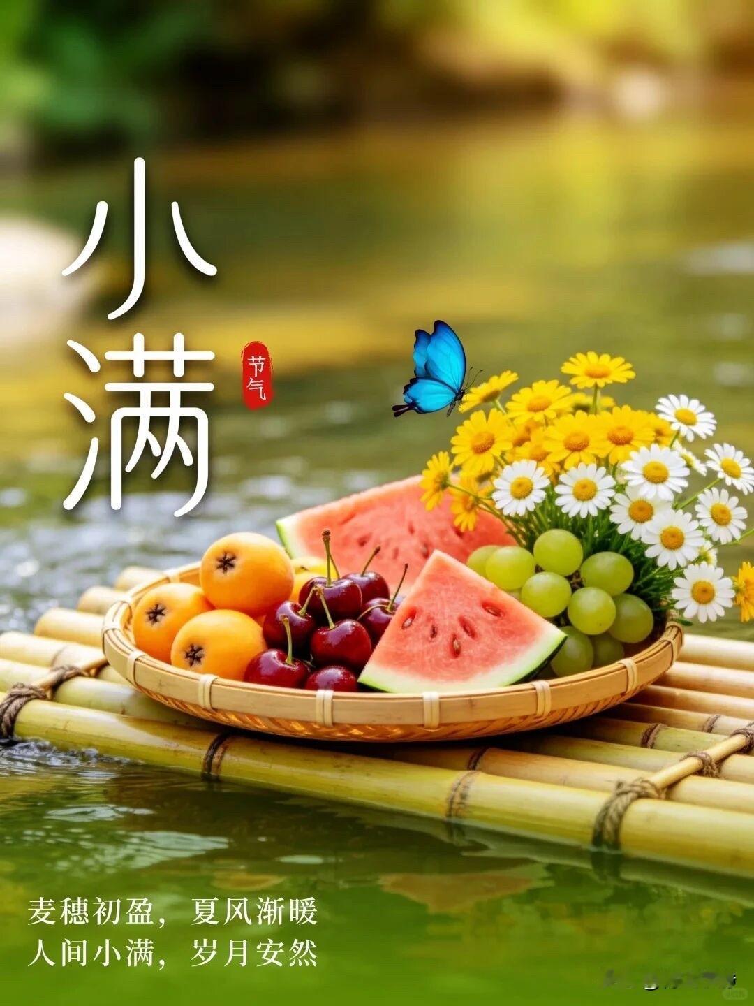 🎋🍒²⁰²⁶/₀₅.₂₁ᵕ̈💛🌤初夏&小满🍑初夏浅浅，小满暖暖，风