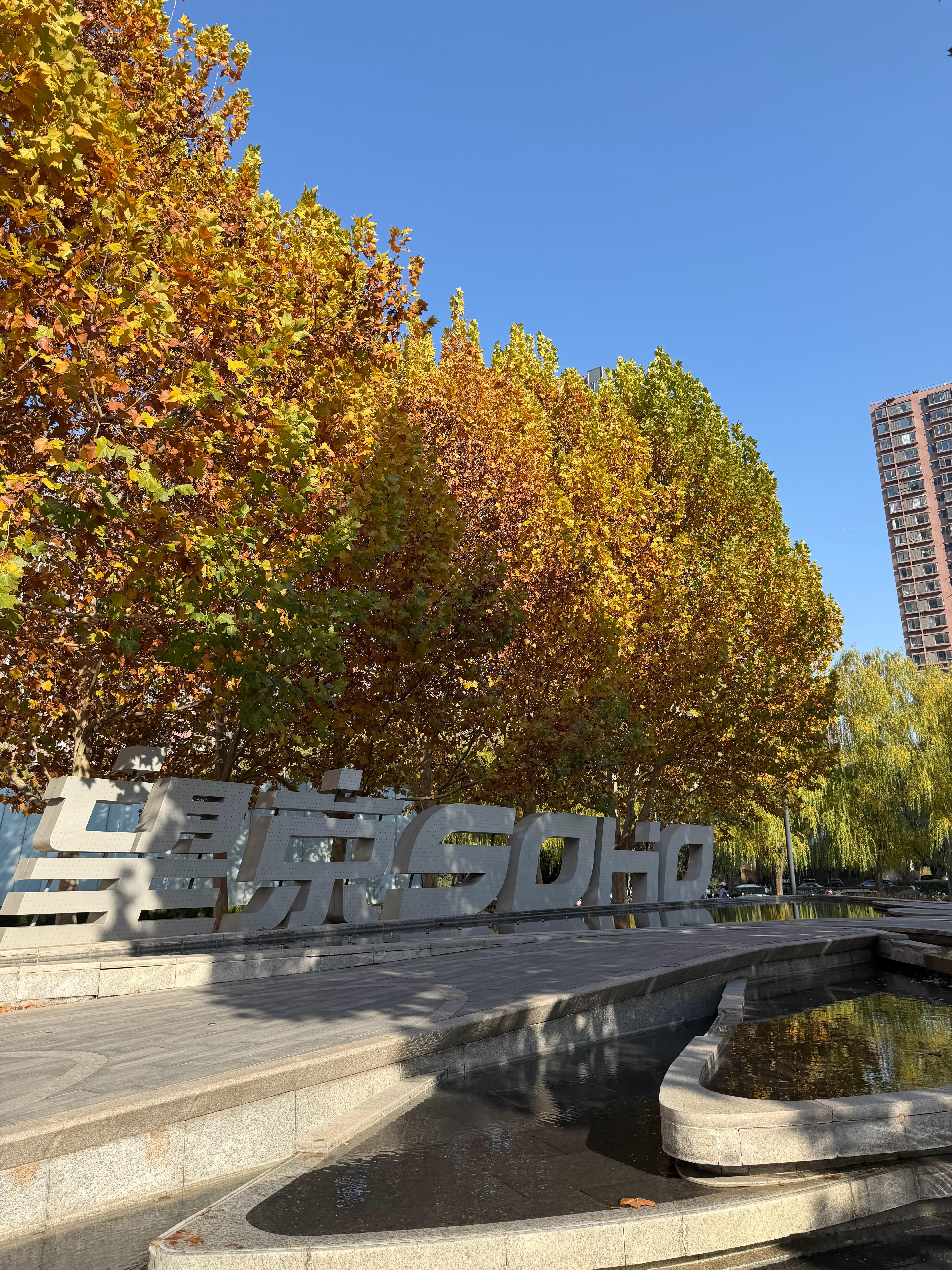 北京的秋天还是权威！🍂