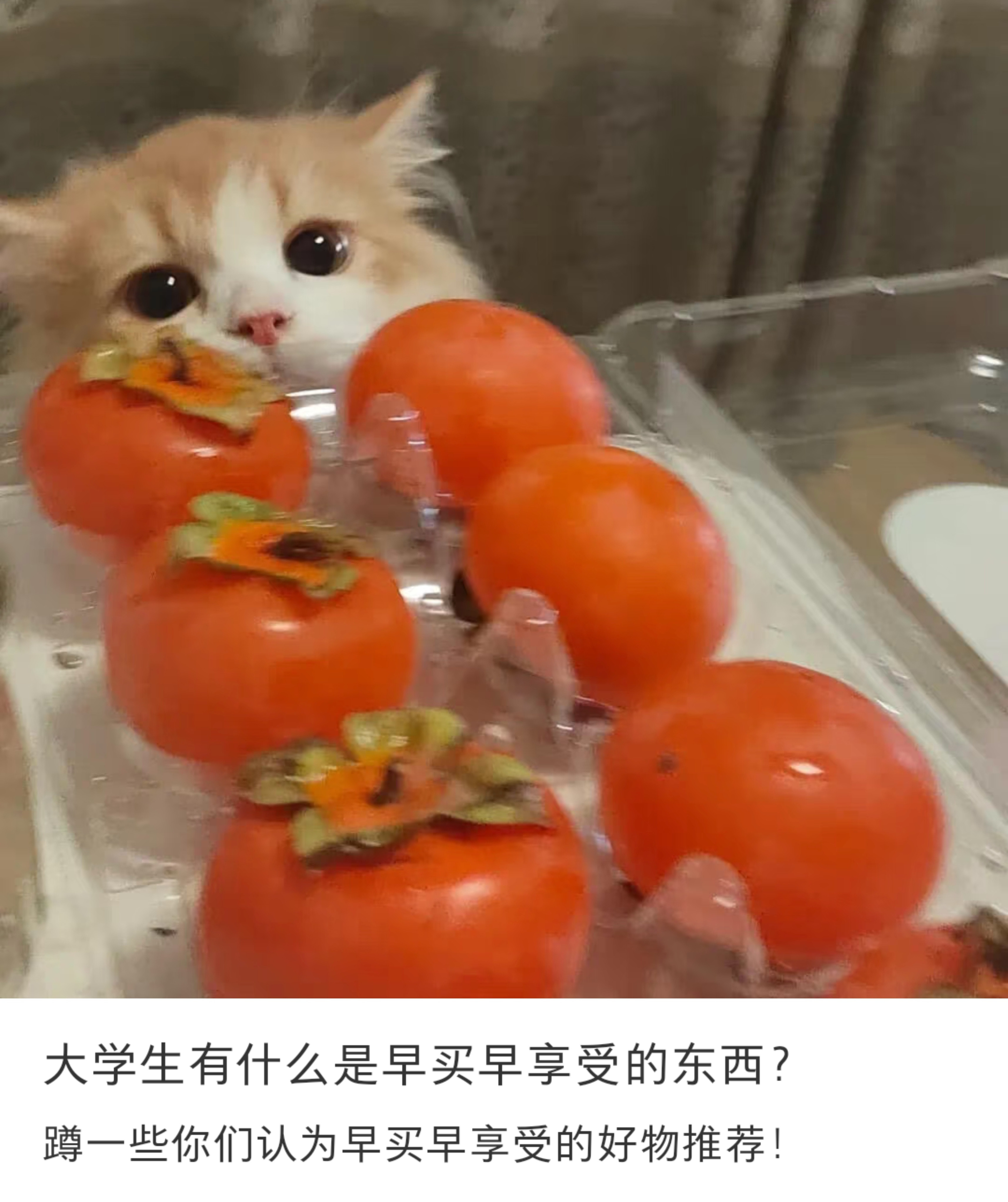 大学生有什么是早买早享受的东西？​​​