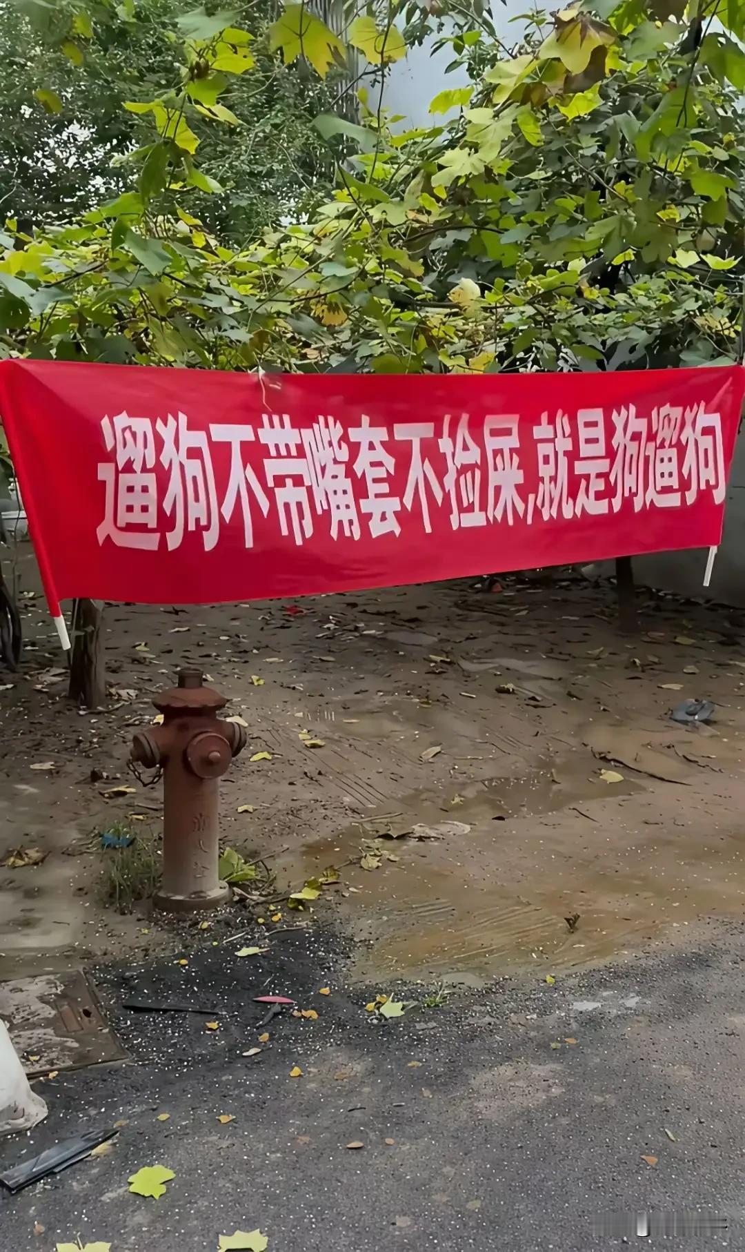 我感觉人家说的有道理，元芳，你认为呢？