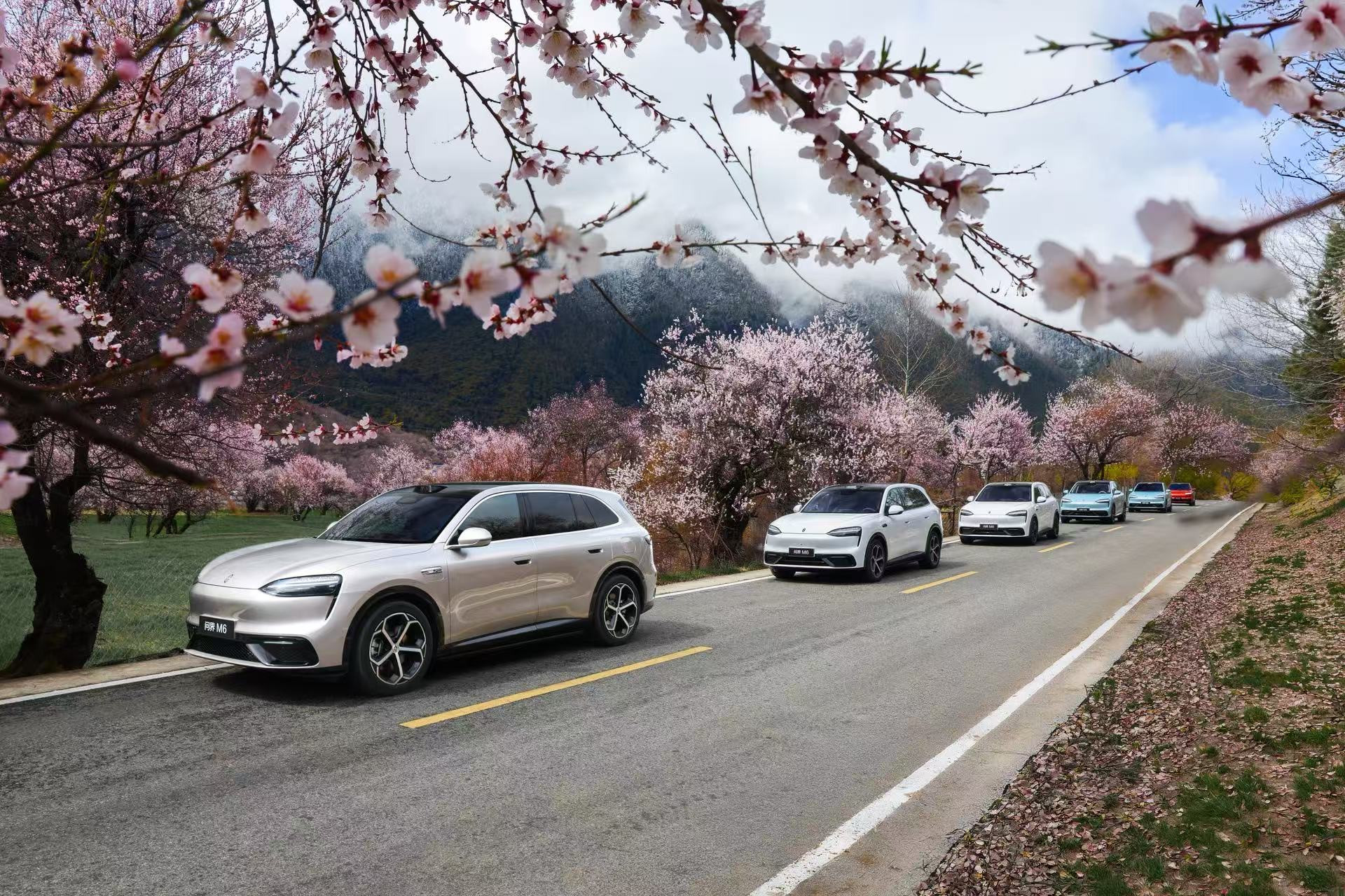 都在说NVH，但真正敢拿数据说话的没几个。问界M6这次直接把“底牌”亮出来了，不