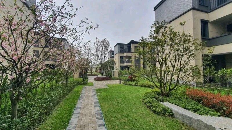 上周跟着中介去看了武汉周边那批传说中的“白菜价别墅”，实探下来比网传的还离谱，有