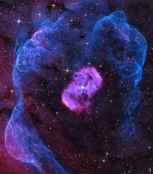 这里展示的是“龙蛋”星云！🐉在这片美丽、对称的NGC6164/6165星云背