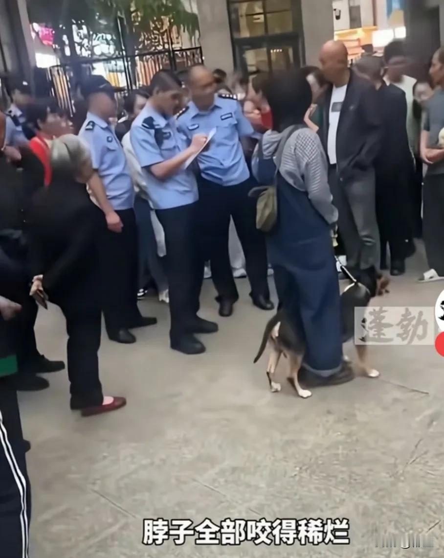 四川眉山狗咬人事件，狗主人犯了三大错误，导致悲剧发生。第一个错误：遛狗不纤绳