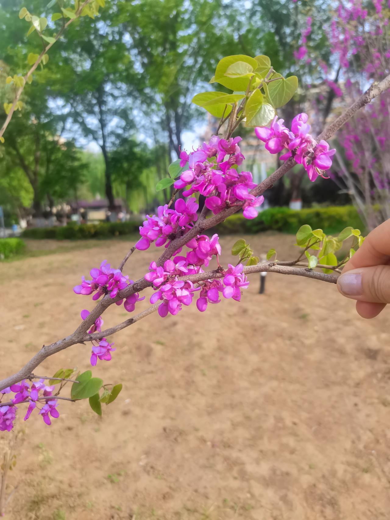 我们总在懊悔昨天，又焦虑明天，却常常忽略了最重要的今天。有个小故事很打动人：