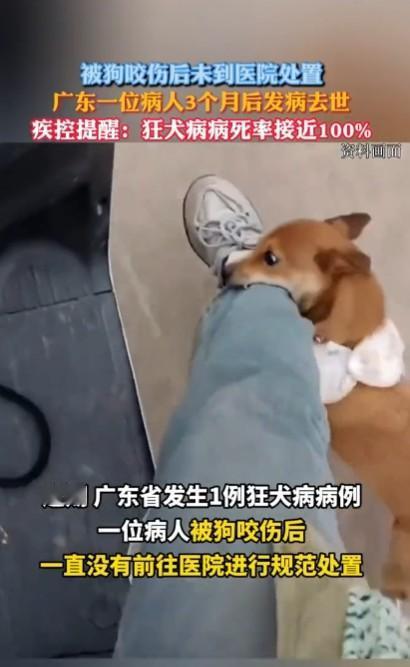 狂犬病毒发作时，人其实已经死亡了，或者说是脑死亡。狂犬病毒是嗜神经的，病毒会在肌