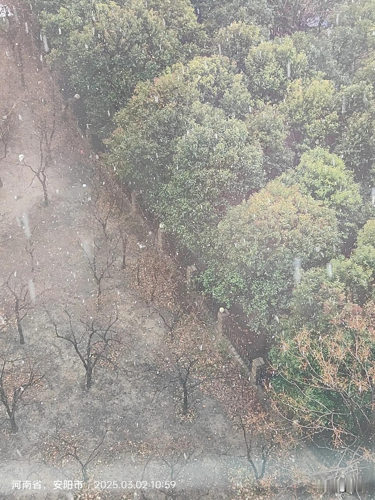 窗外下起了今年冬天的第一场雪，空气终于湿润了一些，北方的雾霾天和雨雪的稀缺有很大