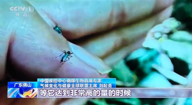 别不当回事！这回蚊子携带病毒来势汹汹！疾控中心最新数据显示广东的基孔肯