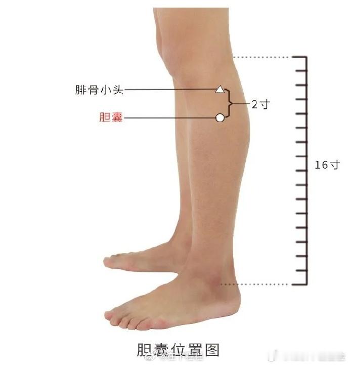 春天，是肝胆经当令的季节。经过一整个冬天的能量积蓄，人体犹如拥有了充足兵马的军队