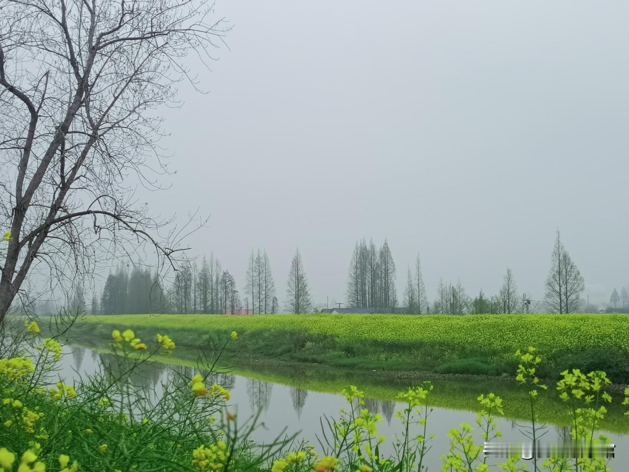 人性的15条扎心铁律，早知道早受益成年人的世界，少点感性幻想，多点理性清醒