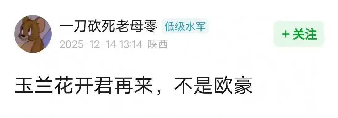 李现档期炸出行业真相：剧组为他改写时间表，欧豪半夜接到电话。《玉兰花开君再来》