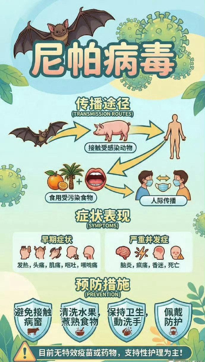 有一种病毒，名字听起来像“你怕”，真让人怕——尼帕。它最早在马来西亚的尼帕村冒头