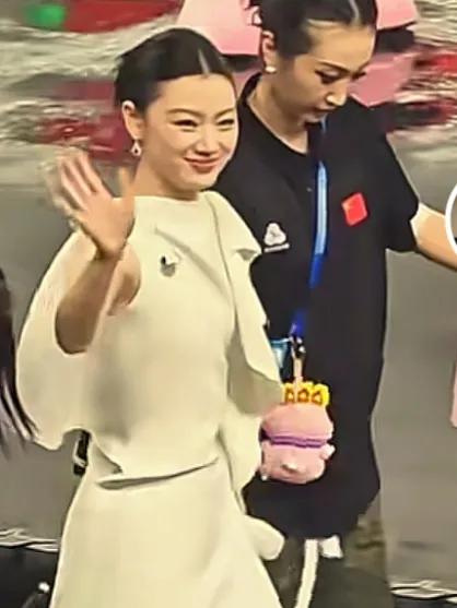 刘德华苏炳添之外，单依纯成全运主题曲意外之选？2025年11月9日，第十五届