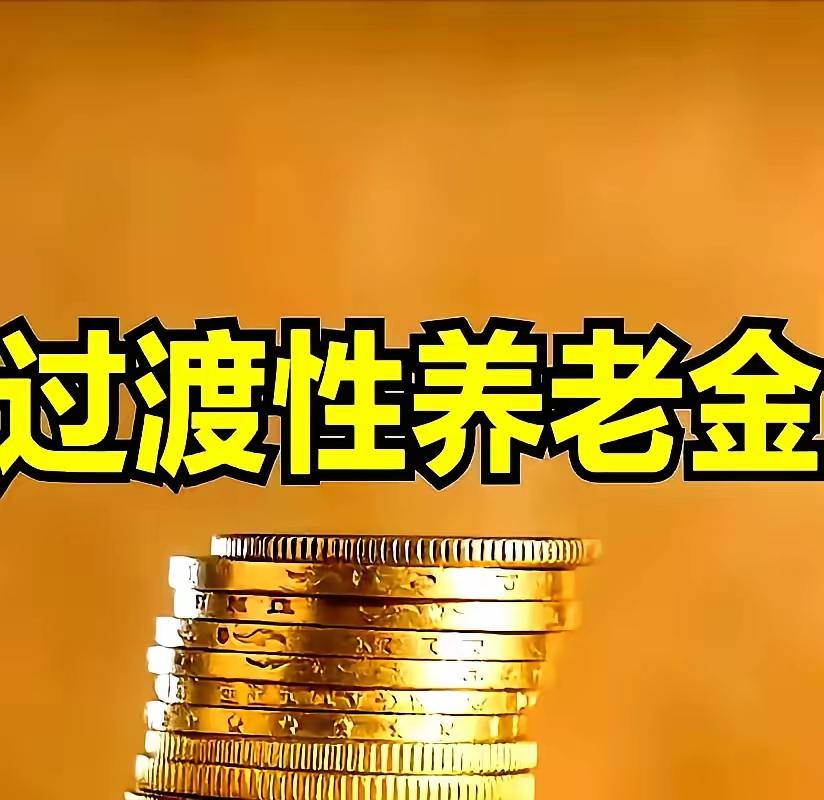 连查了几天，我的企退过渡性养老金差额发放还是没有查到，看到我的盐城或江苏智慧再或