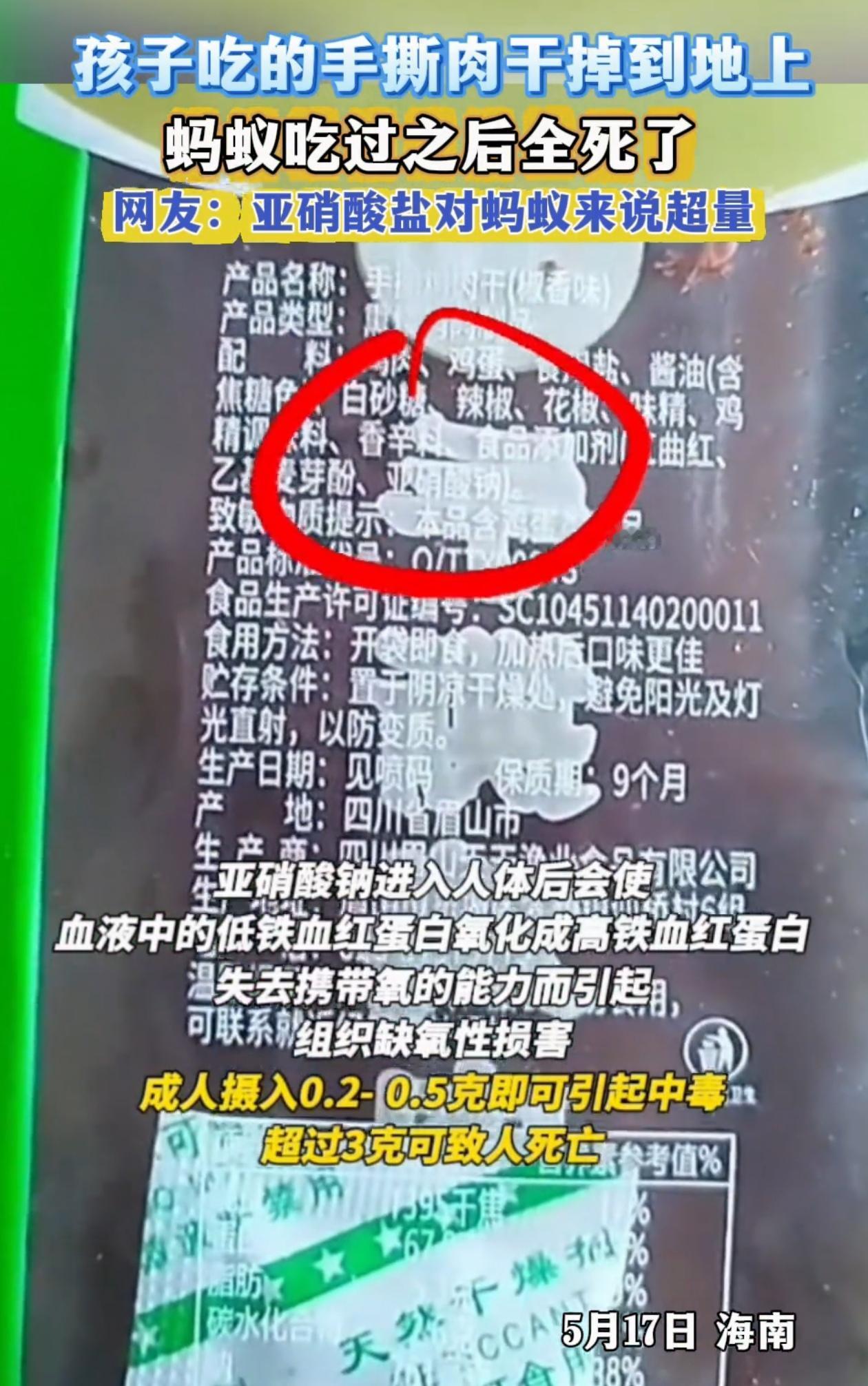“破防了！”海南，小女孩突发奇想，把自己吃的手撕鸡肉干零食放到了地上，没想到蚂蚁