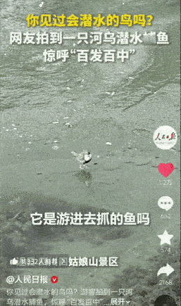 “哇，有点东西啊！”四川，一男子去四姑娘景区游玩，原本想着用手机拍冰面，结果突然