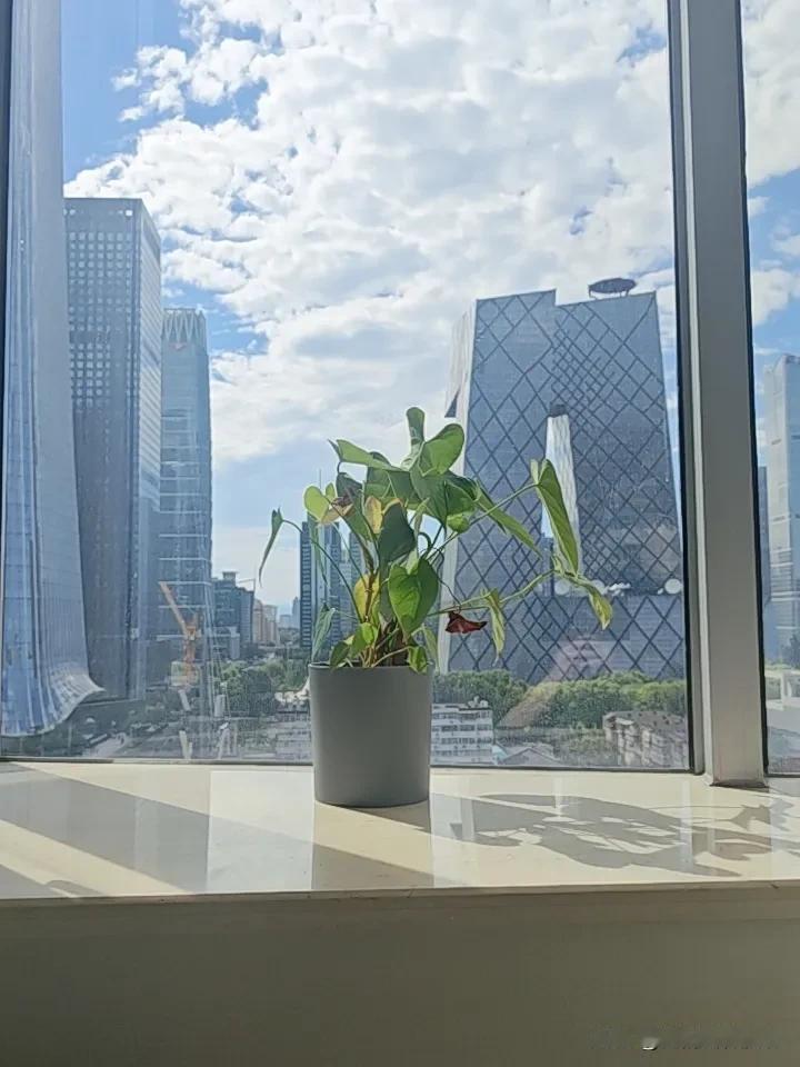 每当坐在国贸的办公室里，看着窗外云舒云卷，风景很美，可是心里总是不踏实。律师不