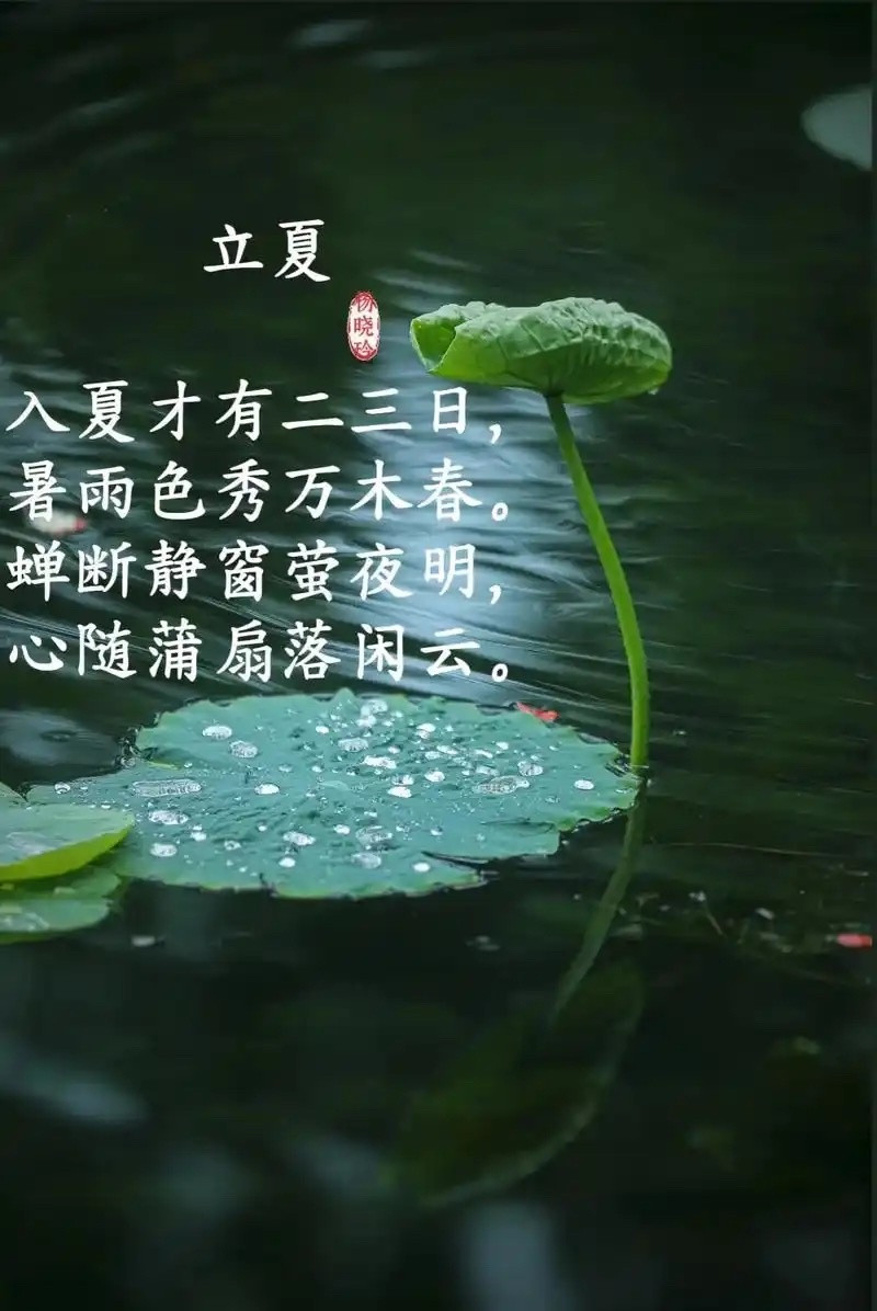 立夏7天中医养生极简打卡表总纲领：静心养心、少凉祛湿、午间必睡、微微出汗每日必做