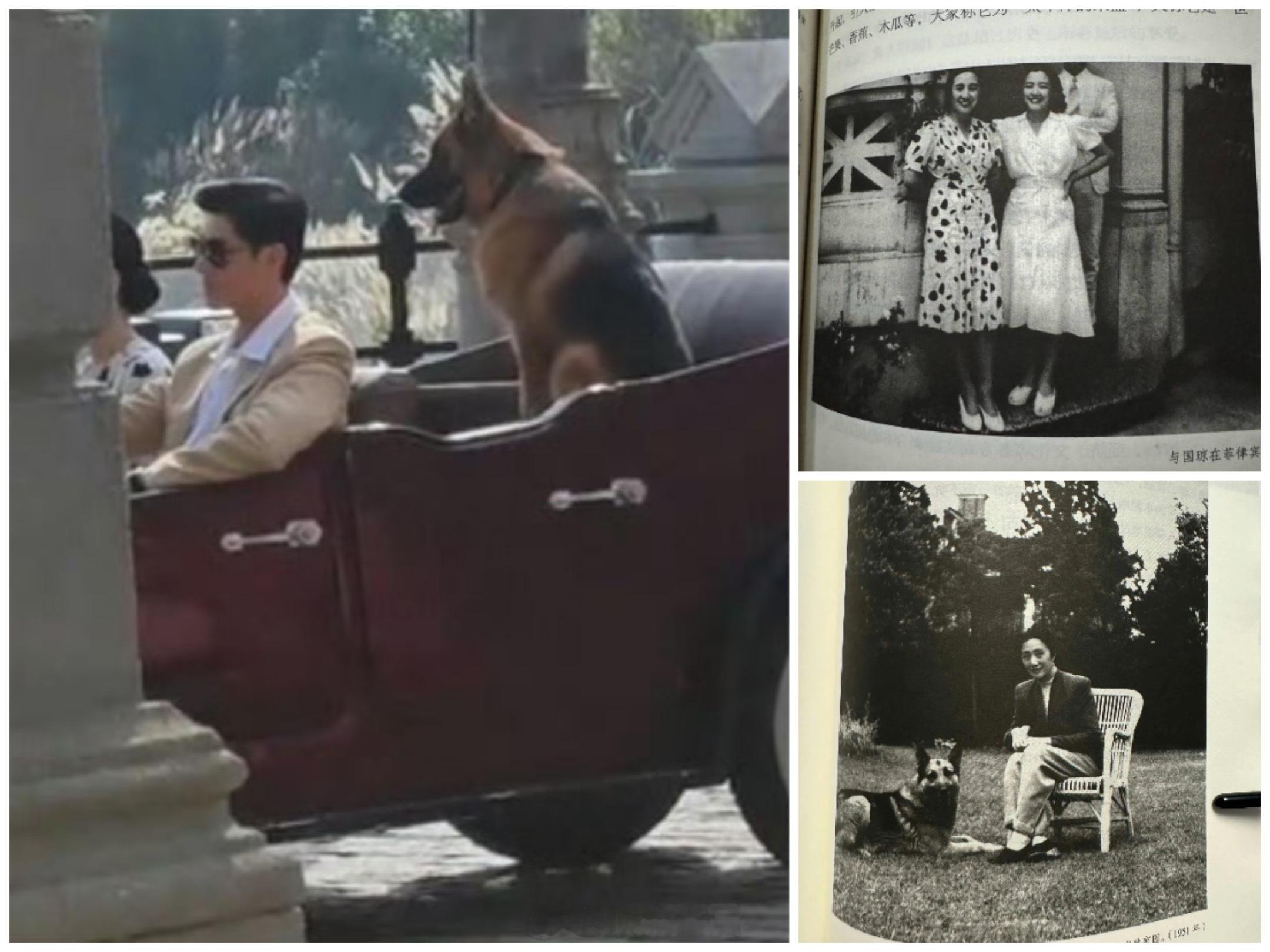 玉兰花开君再来路透来啦，好还原时代风貌啊，董竹君虽然没露脸，但已窥见风姿。杨紫演