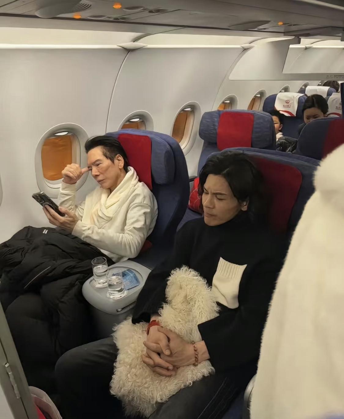 向先生和向佐好像啊，仿佛是一个模子刻出来的一样。都有很优秀的鼻子、额头、下颚线。