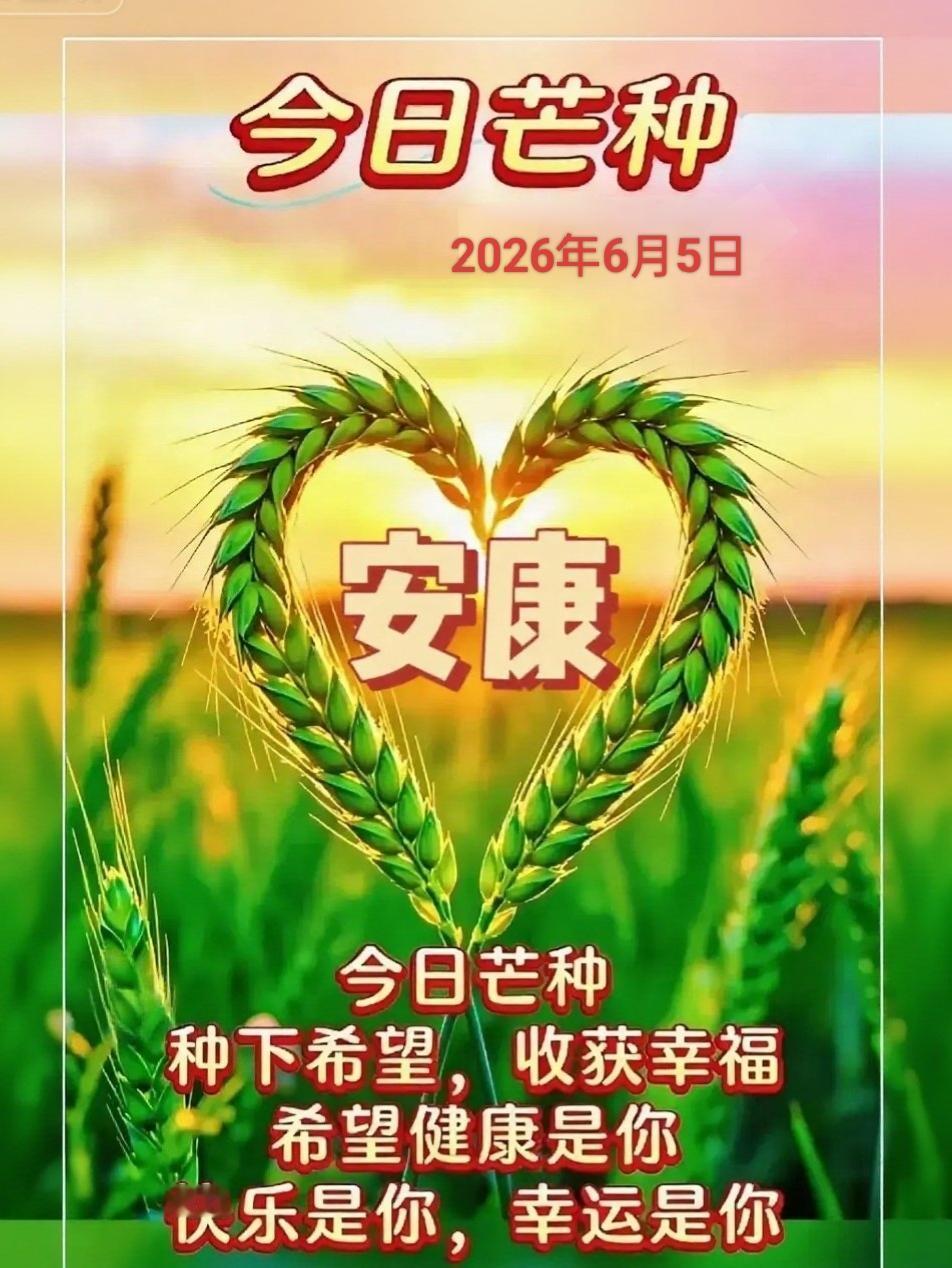 🍒6月5日·芒种🌽接下来的六月，七月，八月九月，十月，十一月，十二月
