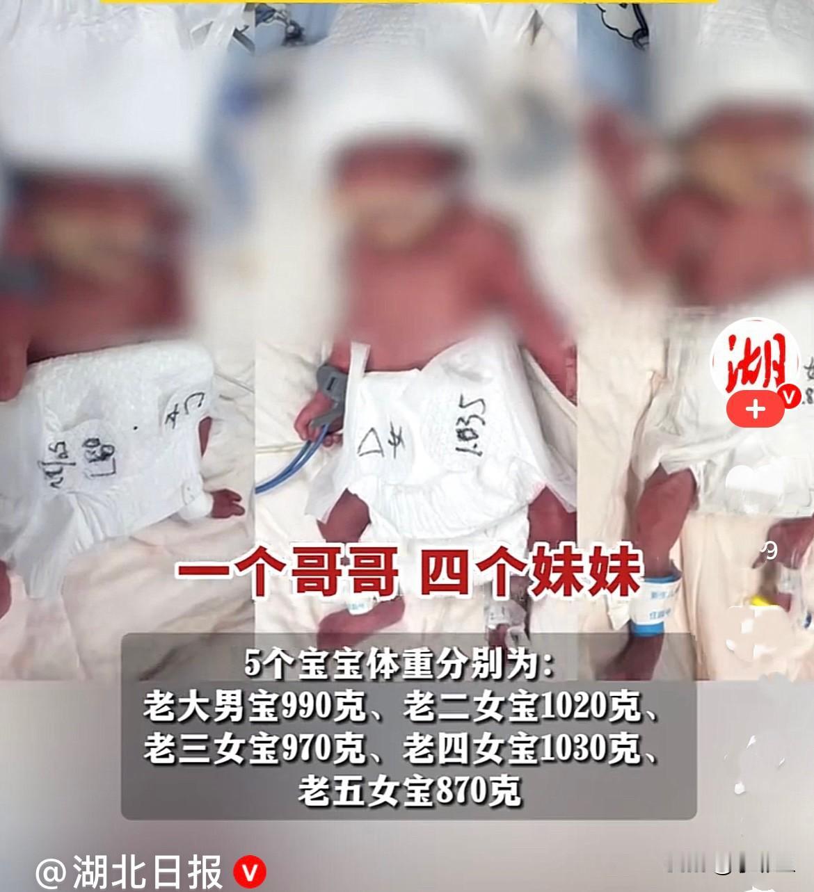 大年初八凌晨，24岁的新疆女子迪丽在武汉生下了罕见的五胞胎，-个哥哥四个殊妹