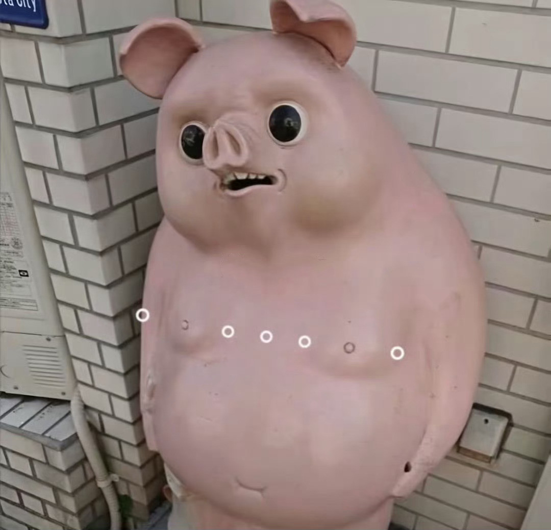 没意思,睡觉.