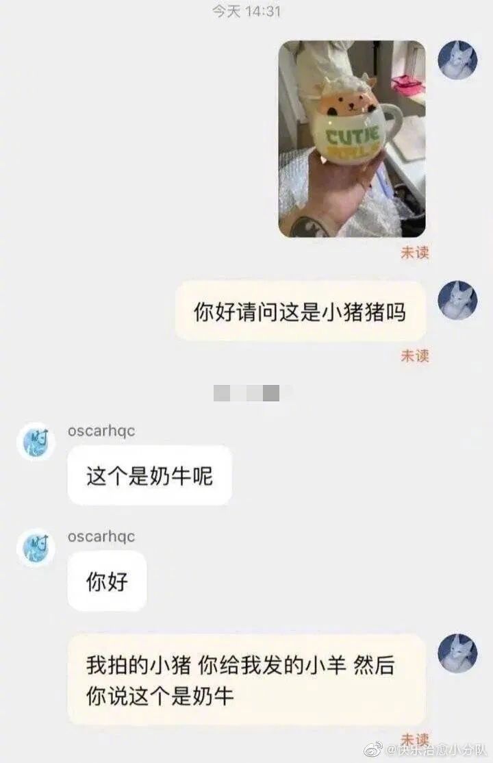 “客服调戏买家的聊天记录被曝光...”淦！这是爷能免费看的？