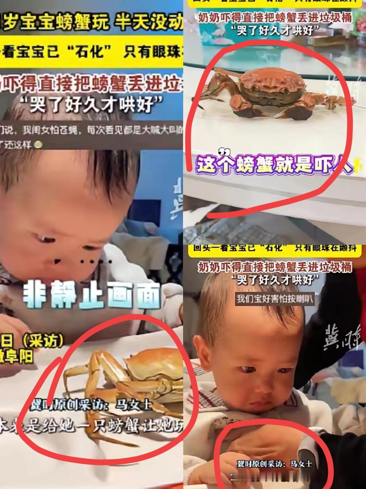 太可怕了！安徽一女子把煮熟螃蟹给宝宝玩，没想到宝宝一直盯着螃蟹看，半天都没有动