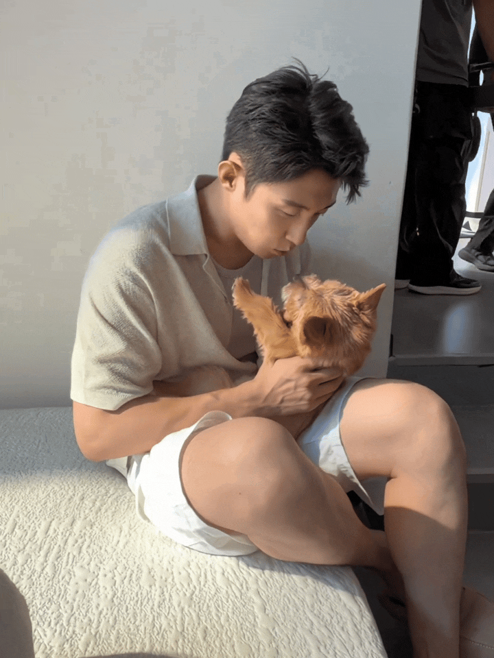 哈哈，做个动图原来夏天是这么玩的！真的很像一只公仔黄景瑜他超爱