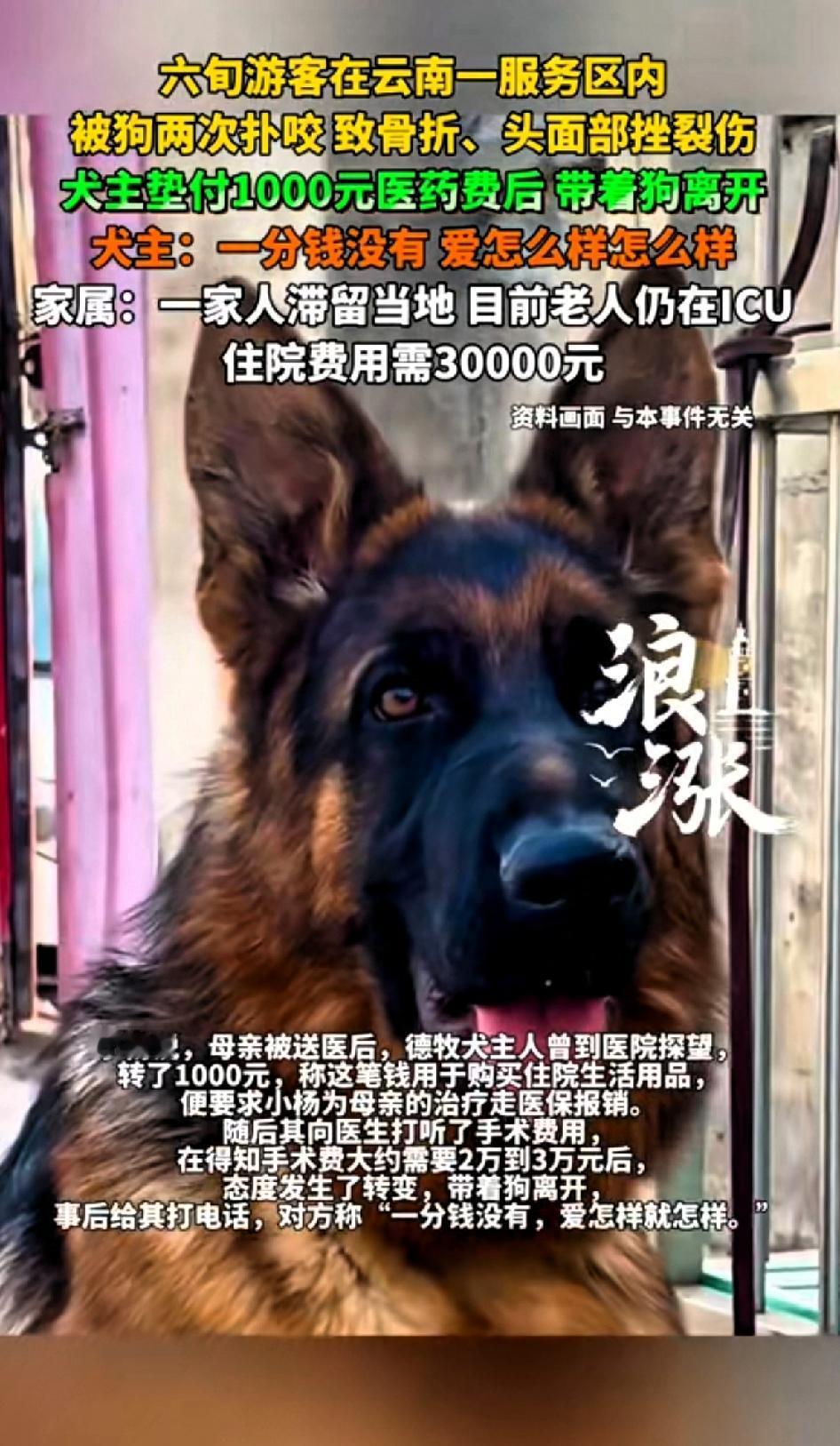 六旬游客在云南一服务区内被狗两次扑咬致骨折、头面部挫裂伤，犬主垫付1000元医药