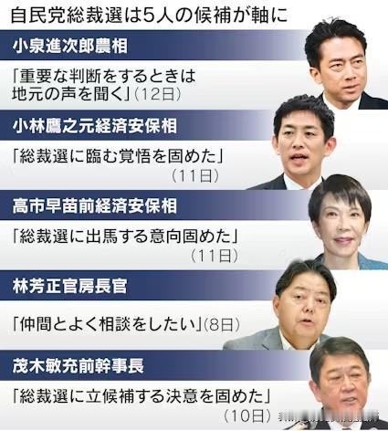 这次日本自民党总裁选，如果只看参选者的本科毕业学校，感觉就像是“三个北大，一个