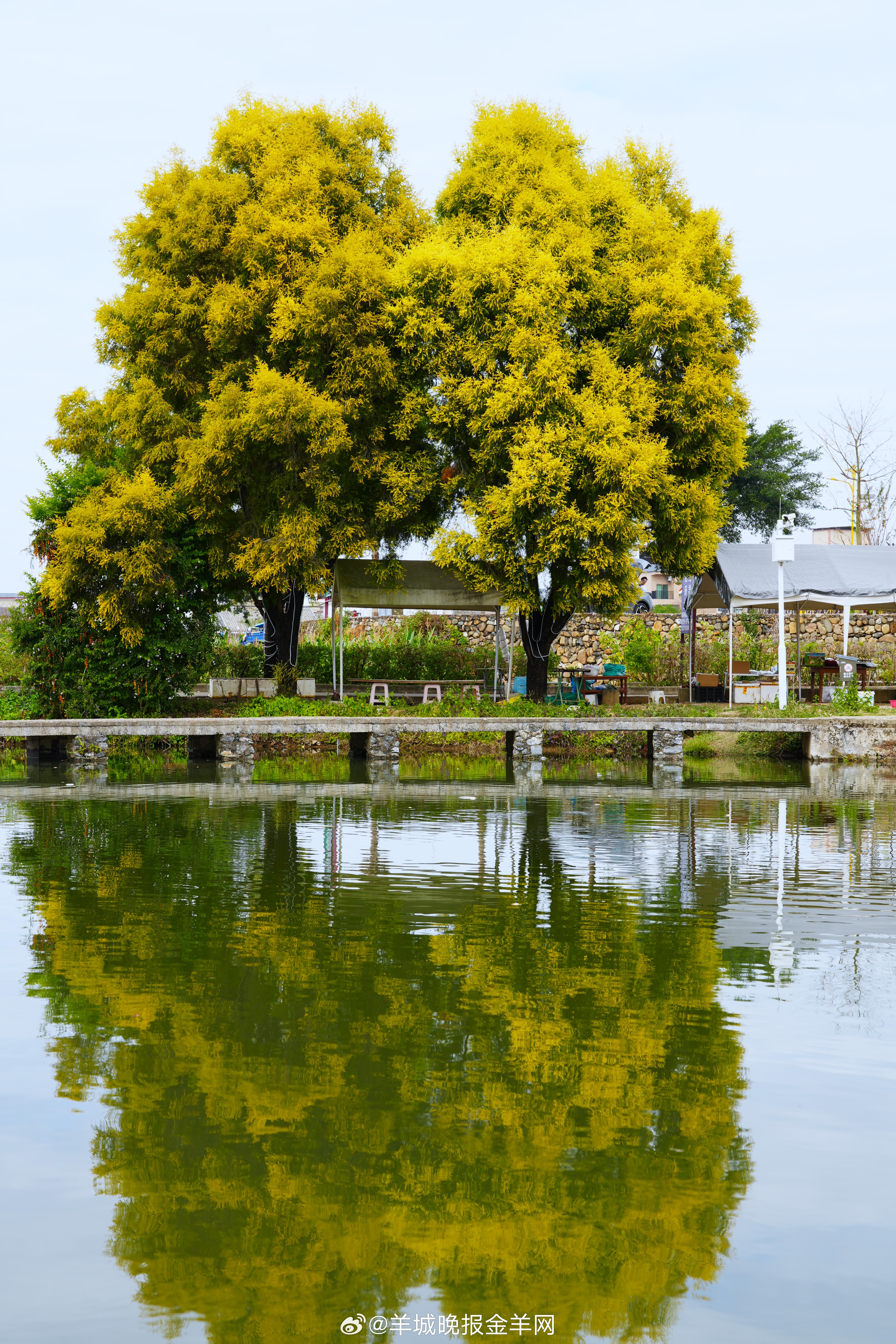 晚安忙完了周末的收尾琐事，给绿植浇了水，给明天的背包收拾好东西。现在钻进软乎乎