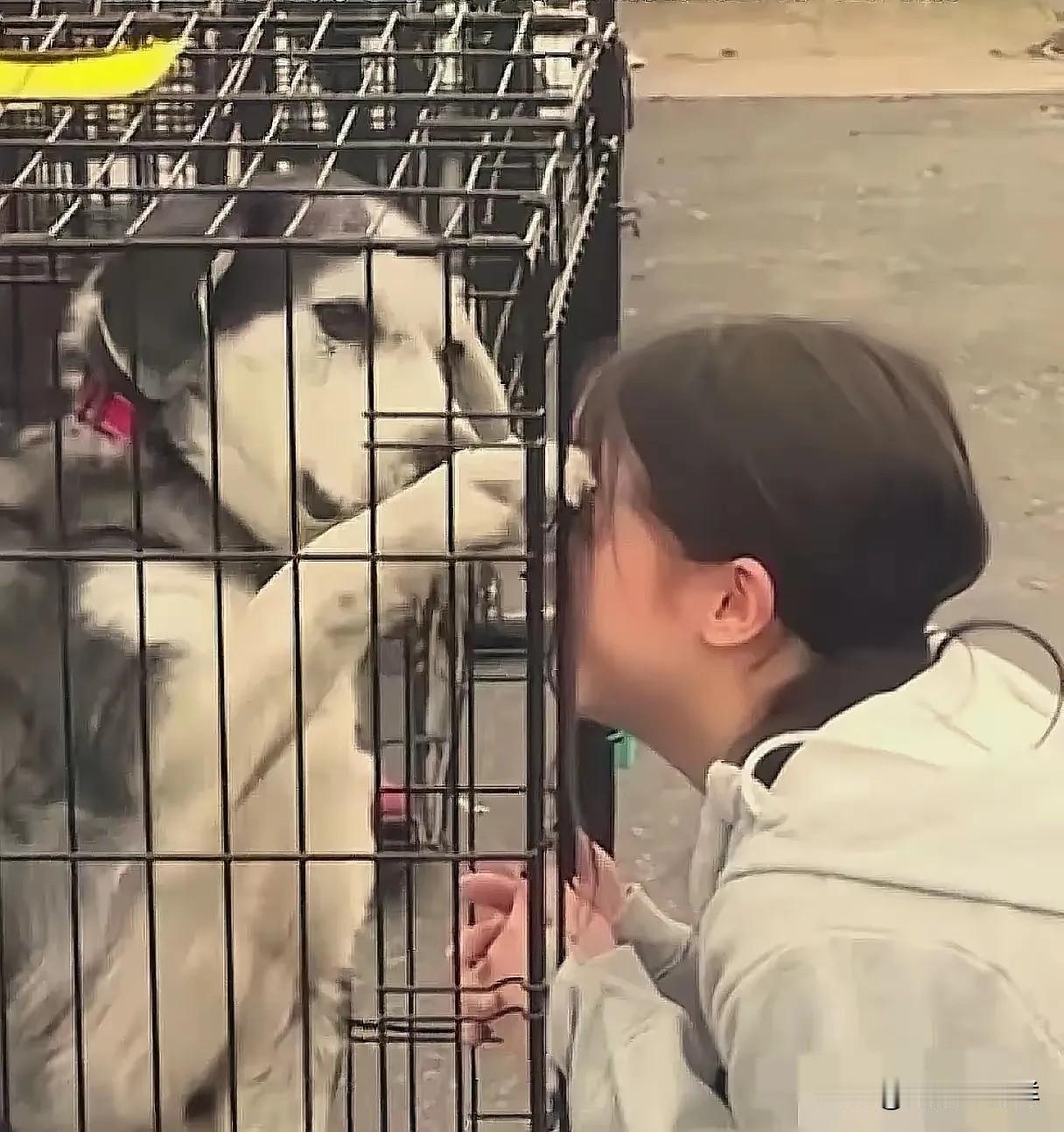 太有缘了！女子在狗市上找到了自己失踪两年的狗狗，女子情绪激动的抓着笼子哭着说“我