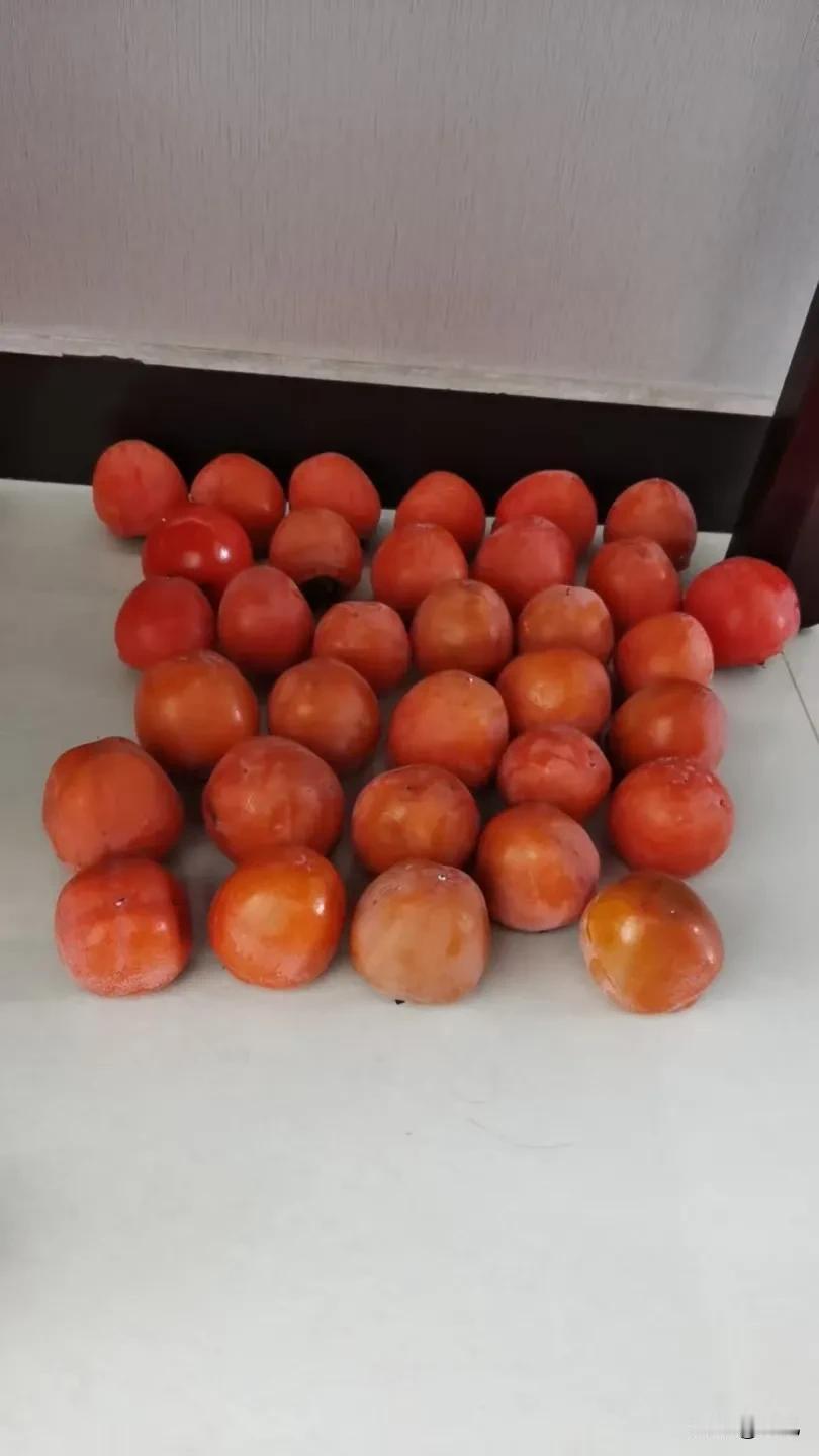 奶奶把秋果给了我我又把秋色分享给好友村里房前屋后都种柿子柿子多了就成了村景