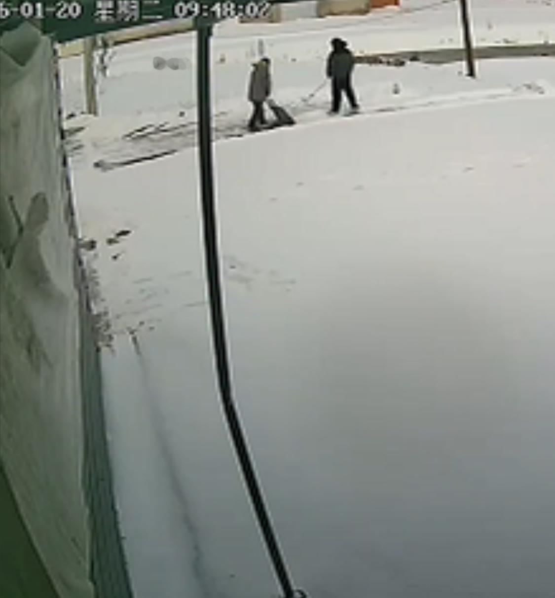 看哭了！江苏宿迁，女子在外地工作生活，听说老家下雪了，就想着打开监控，远程看看家