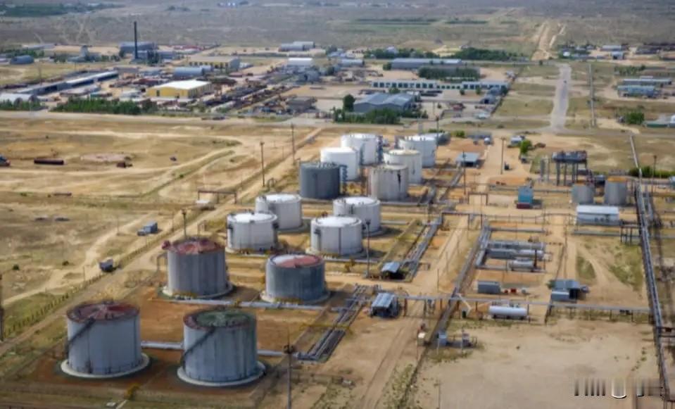 “这回中国绝对是脑子进水了，等着把底裤都赔光吧！”当年，面对中国豪掷50亿美元接