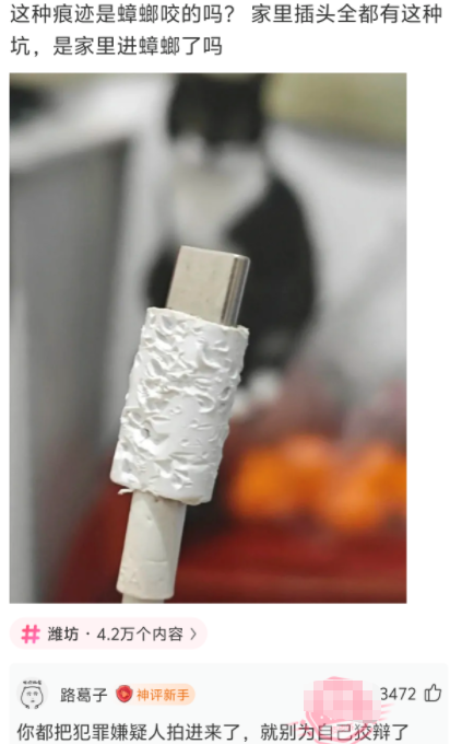 就别为自己狡辩了