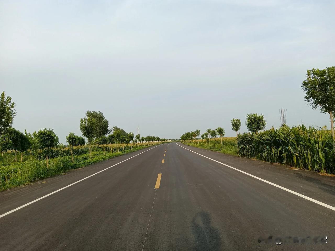 邓州南环省公路S334，终于修成通车了。从信阳淮滨起，从邓州的刘集，构林，都司，