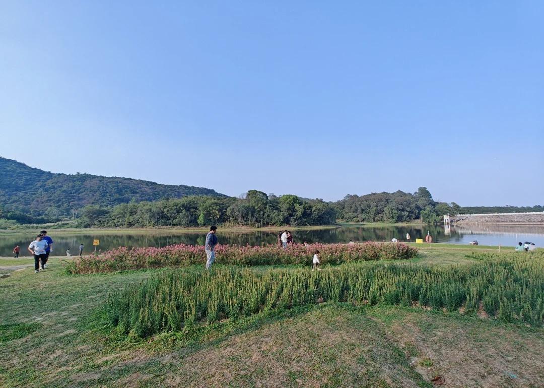 🌿快来感受黄山鲁的绿意盎然🌳春日限定美景👉一进公园就被满屏的绿意暴击