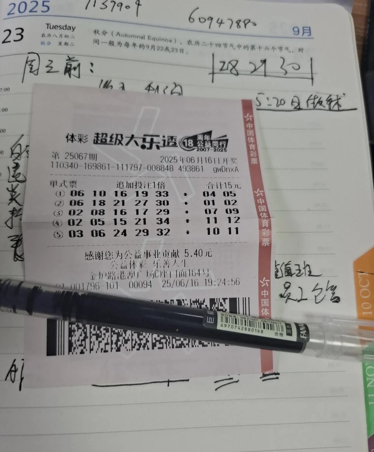 上岸之后我该何去何从