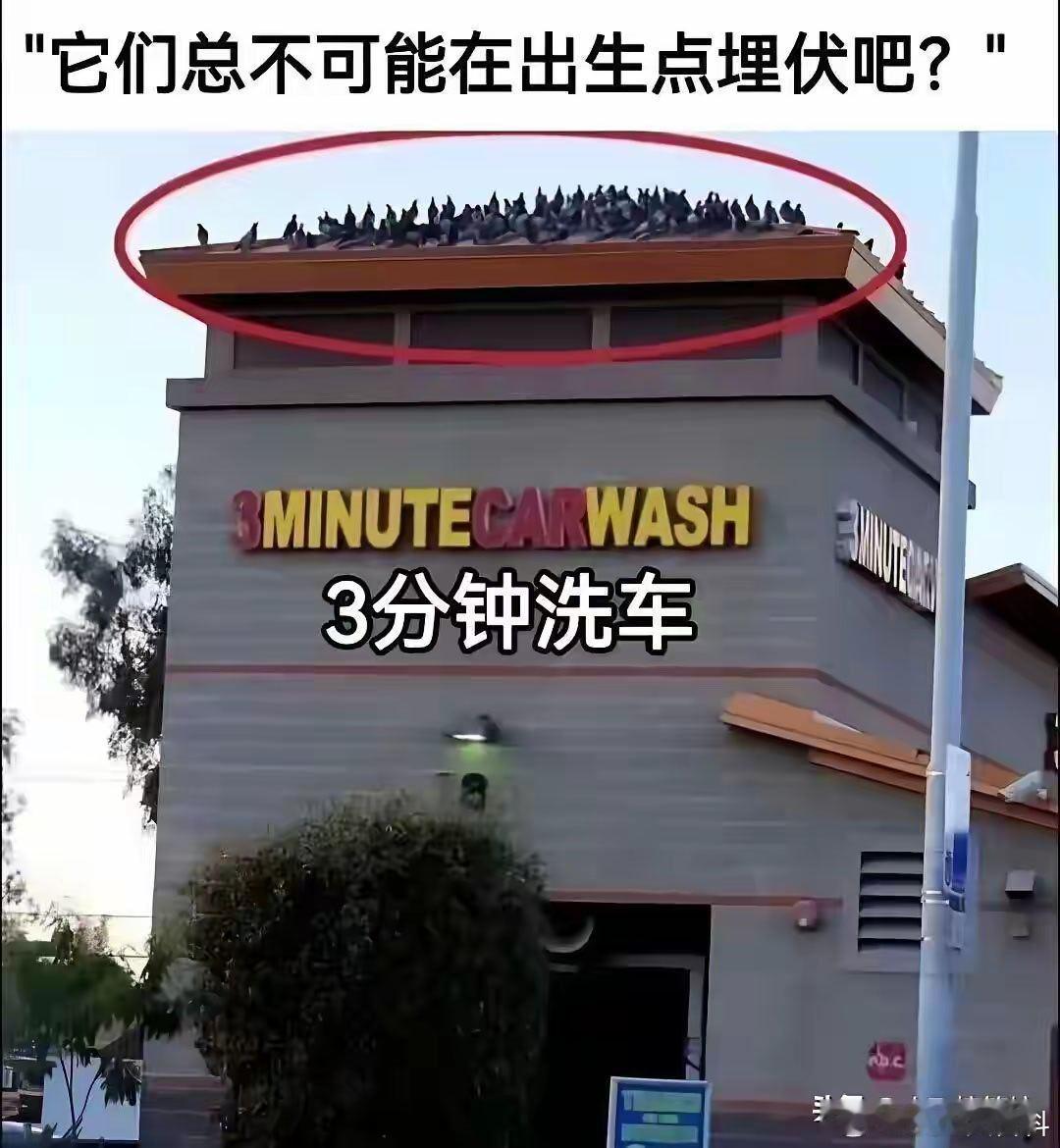 太损了，最恨蹲出生点的洗车不用愁