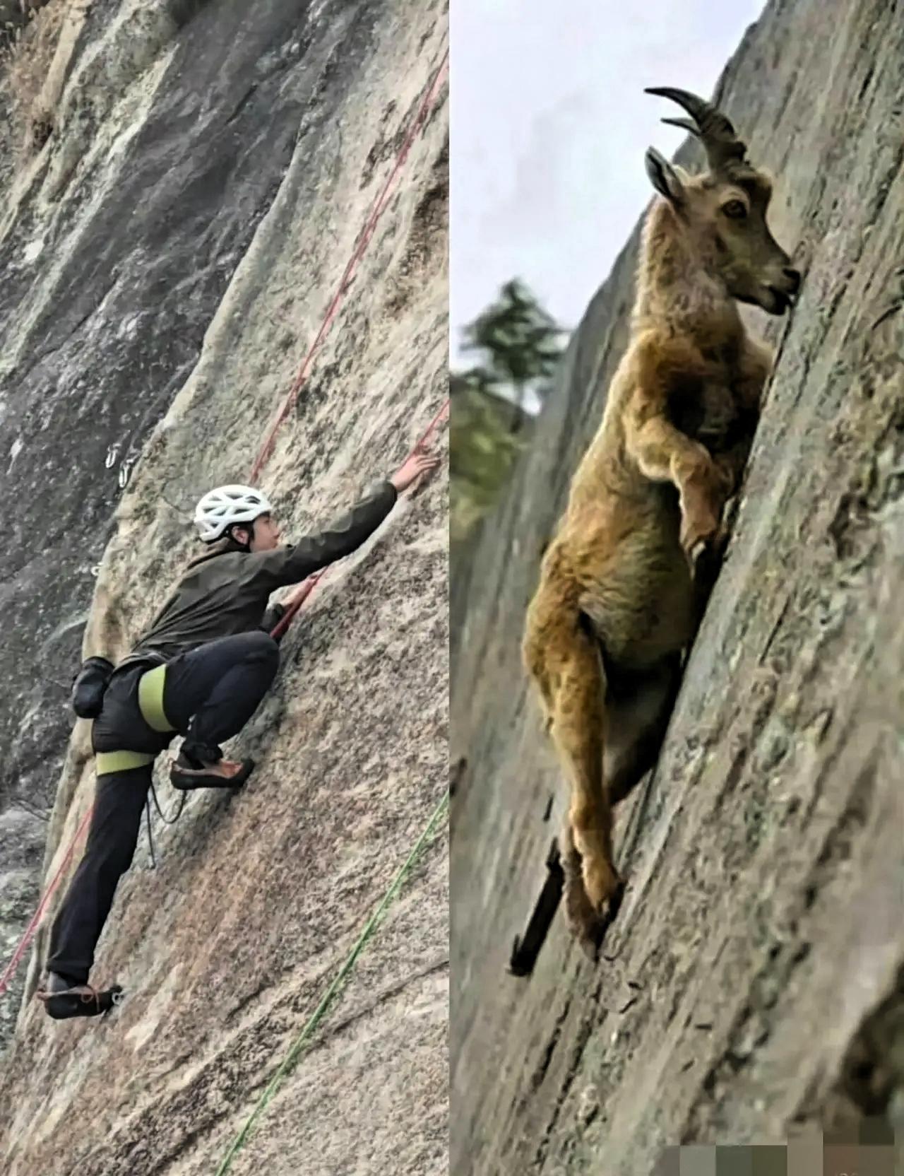 我最想不通的人就是王一博了你说他才28岁，而且颜值那么高，却喜欢做极限运动