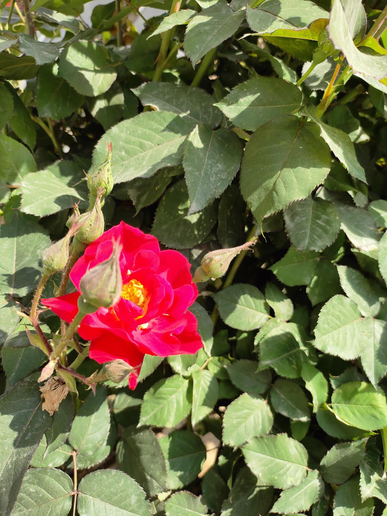 人生下半场，只修两件事——身无病苦，心无挂碍人活到后半辈子，才算真正活明白