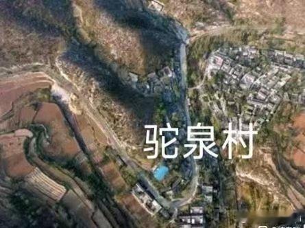 驼泉村的特色种植主要有以下几种：小米和杂粮：驼泉村地处太行山区，当地的气候和土壤